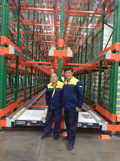 Industrial Cold Warehouse Popular Pallet Runner